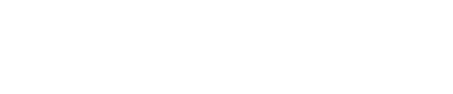 Athlion Logo