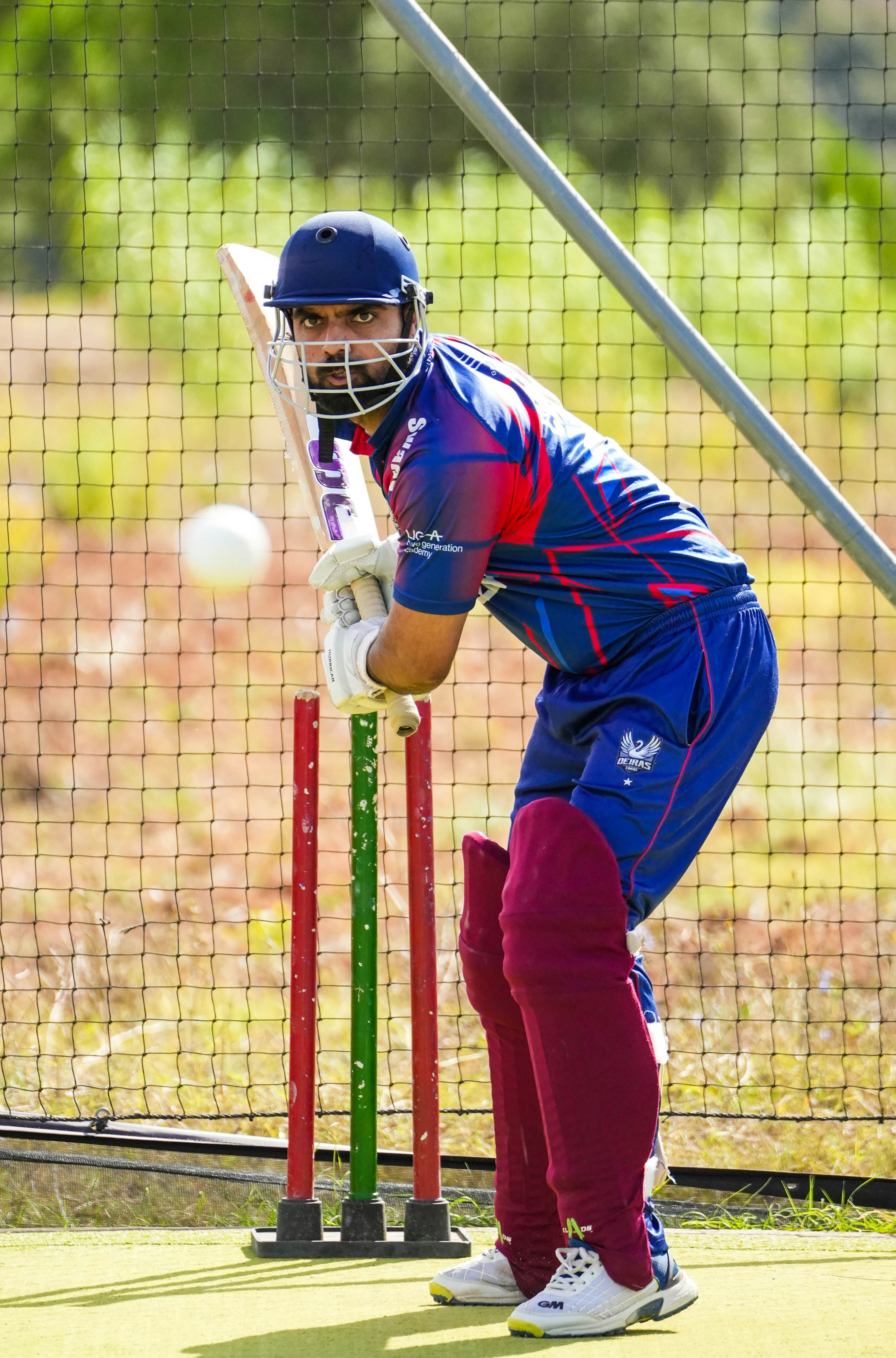 Cricket